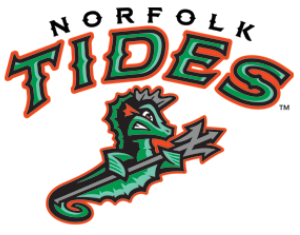 Norfolk Tides 2016-Pres Alternate Logo v2 iron on heat transfer